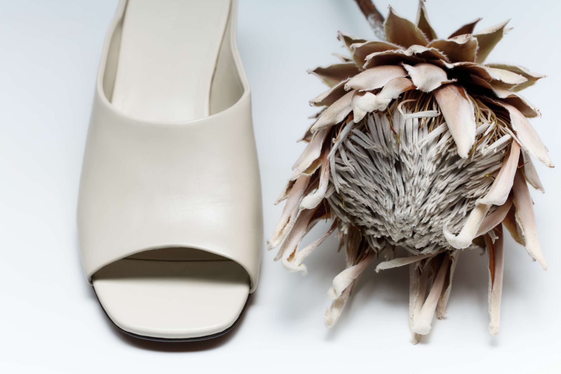 Мюли СИЕРРА